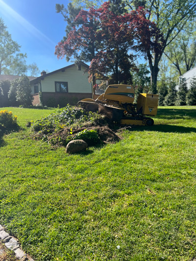 Landscaping in South Jersey | J.M. Tree & Landscape Service, South Jersey Landscapers