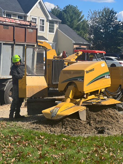 Stump Grinding & Removal, South Jersey | J.M. Tree & Landscape Service, LLC