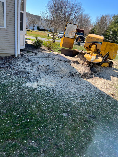 Stump Grinding & Removal, South Jersey | J.M. Tree & Landscape Service, LLC