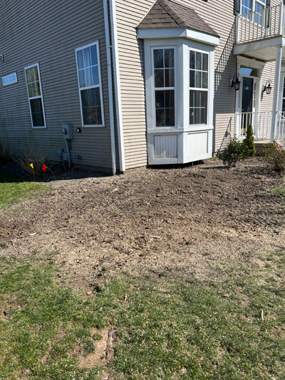 Stump Grinding & Removal, South Jersey | J.M. Tree & Landscape Service, LLC