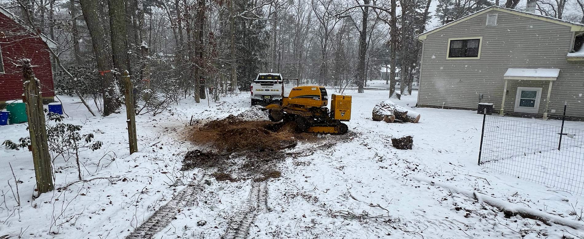 Stump Grinding & Removal, South Jersey | J.M. Tree & Landscape Service, LLC